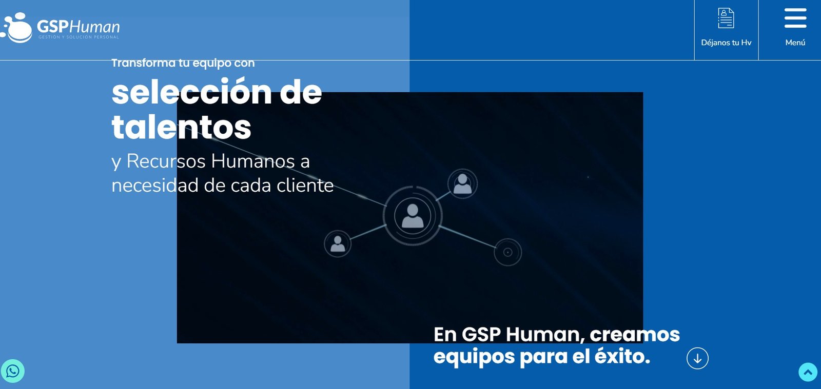 GSP human